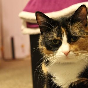 Meet your Posher, Rebecca